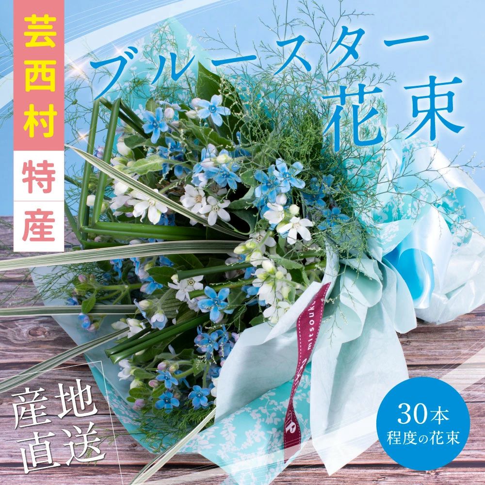 芸西村特産ブルースター花束（約30本程度の花束） JJM002-AS