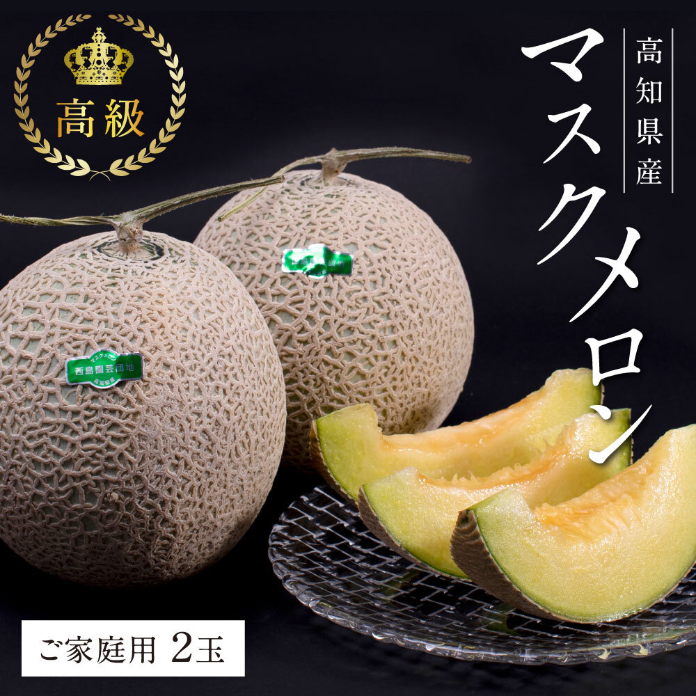 “高知県産”最高級マスクメロン（ご家庭用）2玉入【発送期間：4月～12月（9カ月）】 SKS024-AS