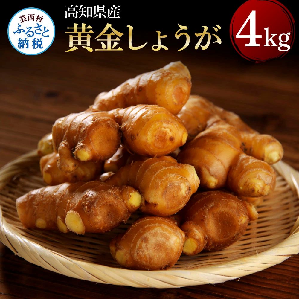 高知県産　黄金しょうが　4ｋｇ SNS002-AS