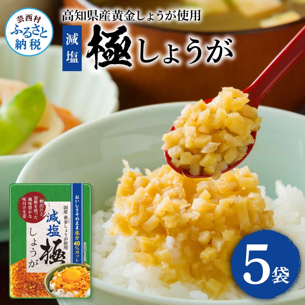 減塩　味付け極しょうが　110ｇ×5袋 SNS019-AS