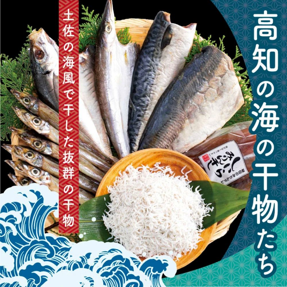 高知の海の干物たち SST002-AS