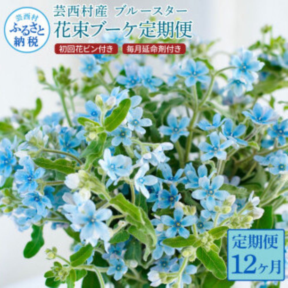 【12ヵ月定期便】ブルースター 花束 初回花瓶付　t180tmf-AS