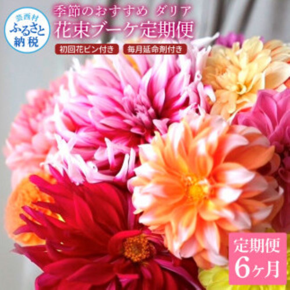 【6ヵ月定期便】ダリア 花束 初回花瓶付　t182tmf-AS