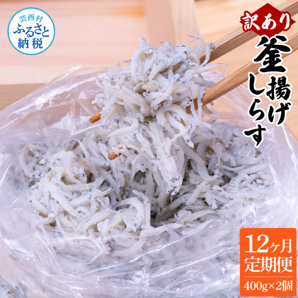 【12ヶ月定期便】訳あり釜揚げシラス500g×2個　t199mmk-AS