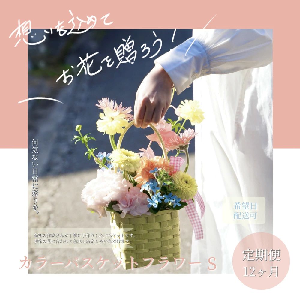 【12ヵ月定期便】季節の生花カラーバスケットフラワーS　t228tmf-AS