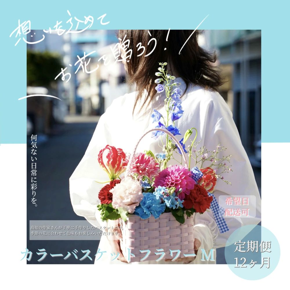 【12ヵ月定期便】季節の生花カラーバスケットフラワーM　t231tmf-AS