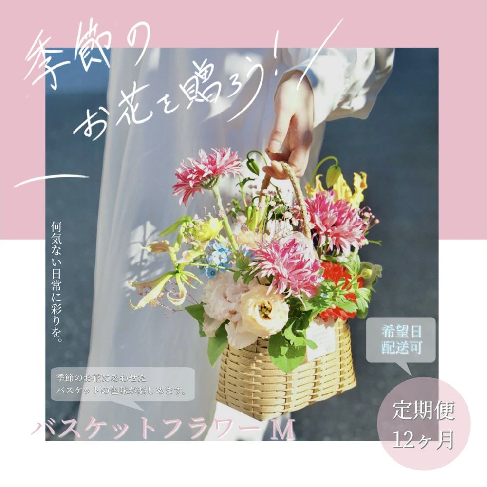 【12ヵ月定期便】季節の生花バスケットフラワーM　t234tmf-AS