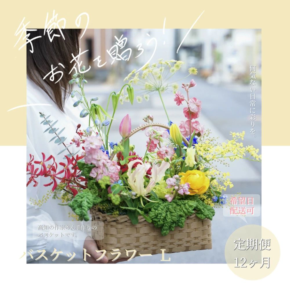 【12ヵ月定期便】季節の生花バスケットフラワーL 　t237tmf-AS
