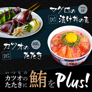 訳ありカツオたたき600g＋マグロ漬け丼80g×5P KYF114-AS