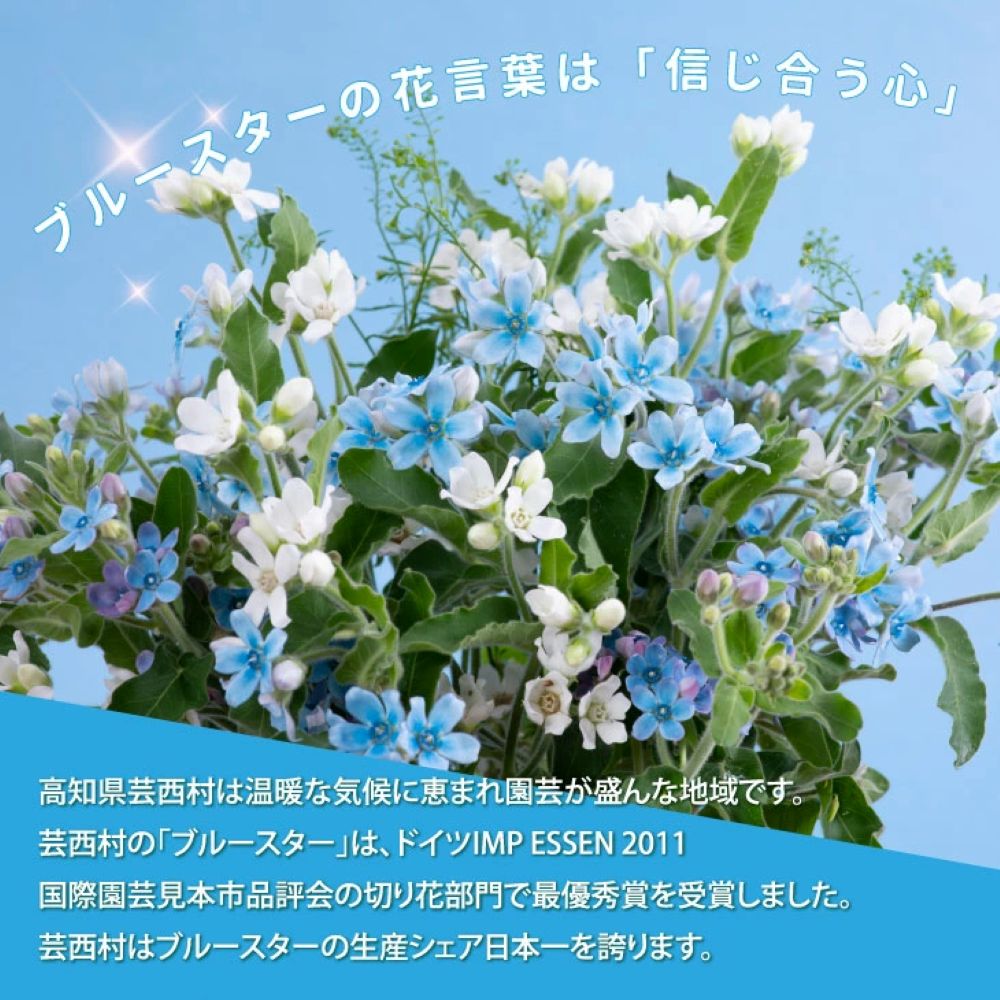 特産品写真1