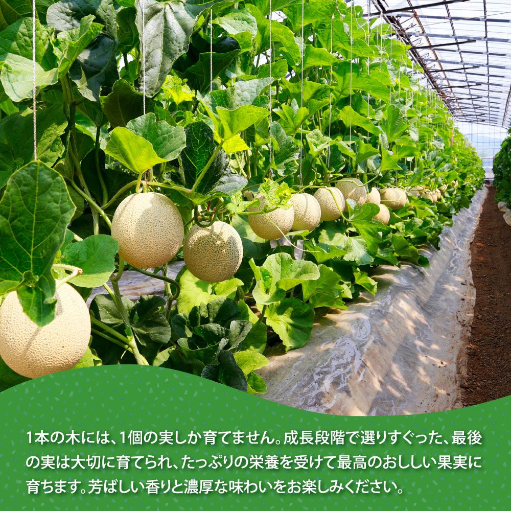 特産品写真1