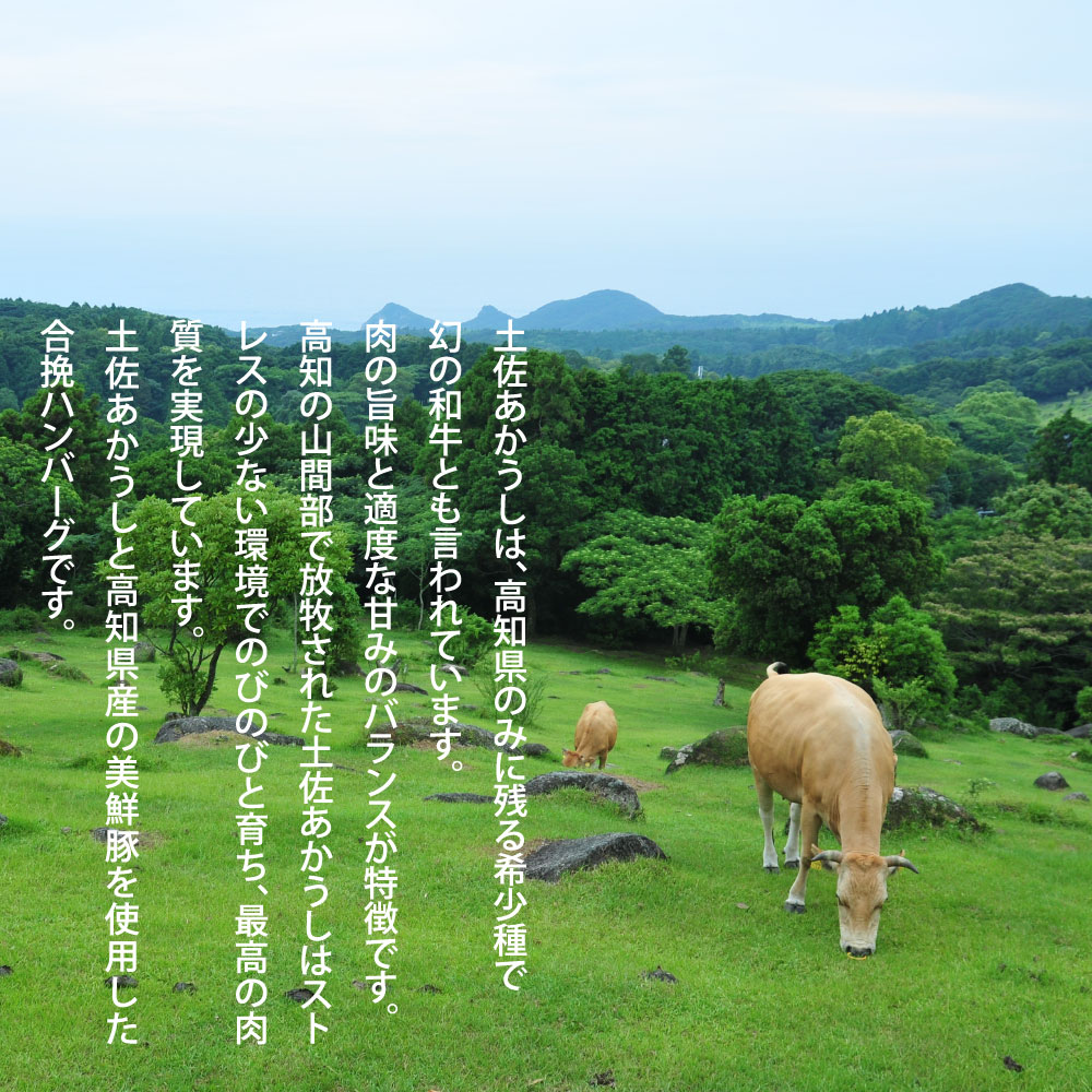 特産品写真2