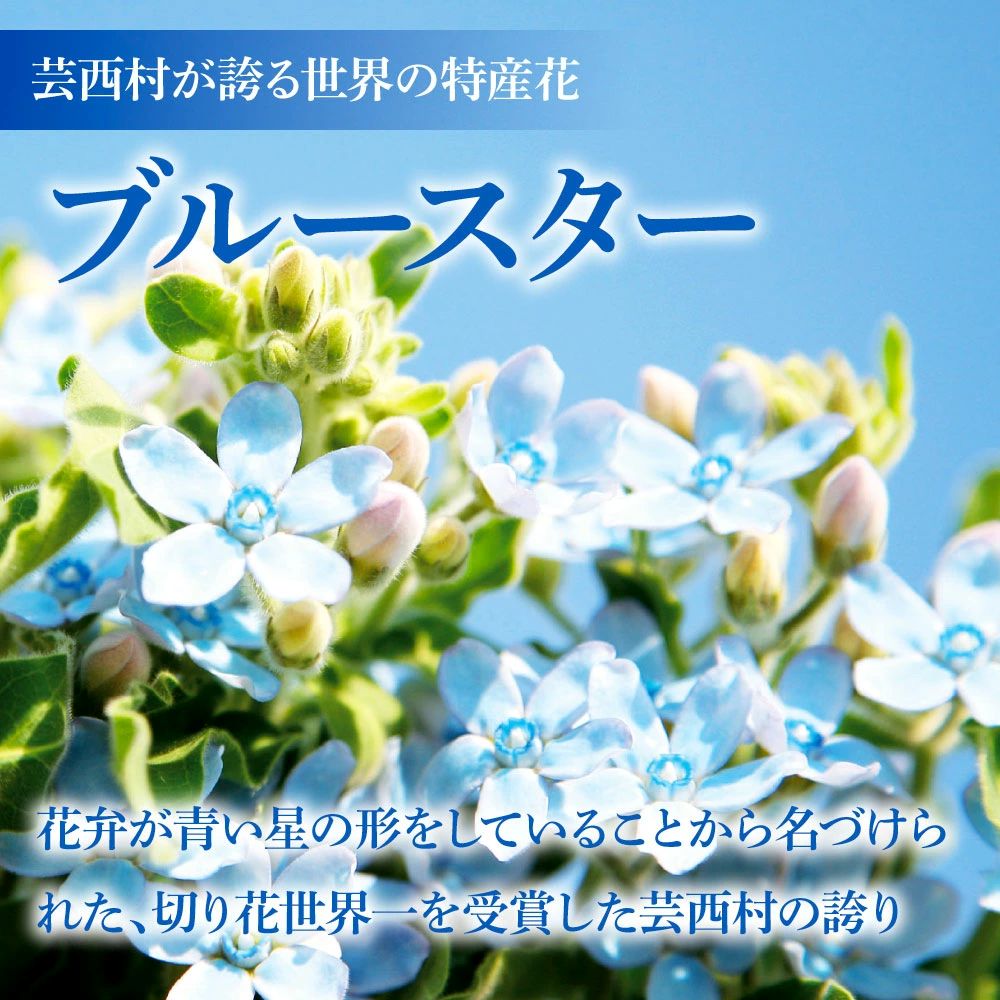 特産品写真2