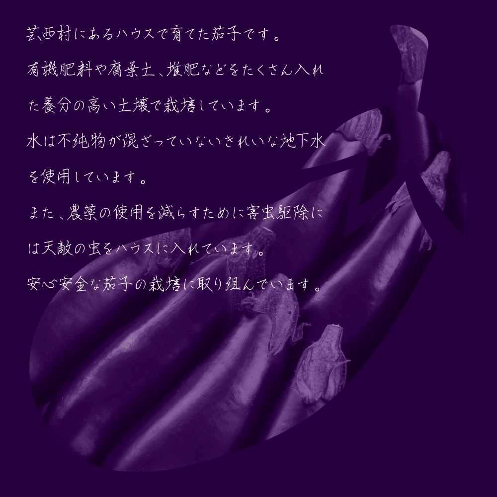 特産品写真2