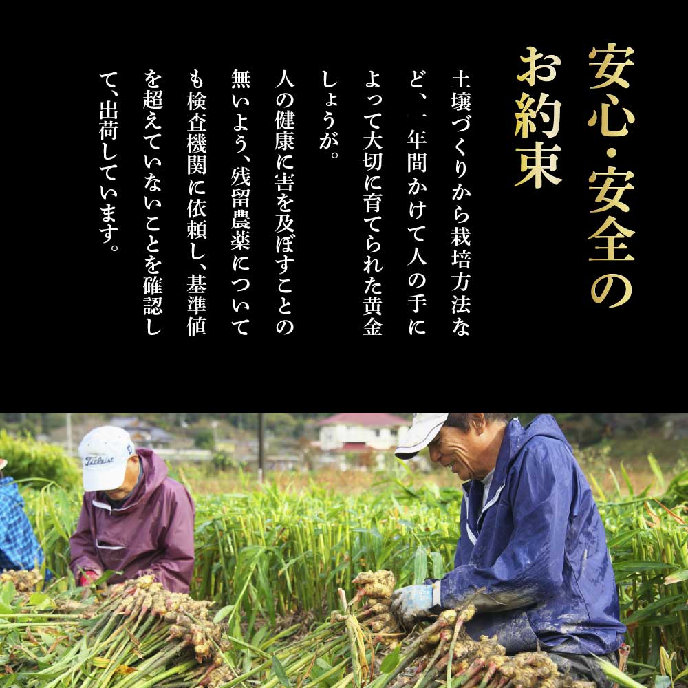 特産品写真2