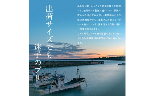 特産品写真2