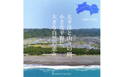 特産品写真2